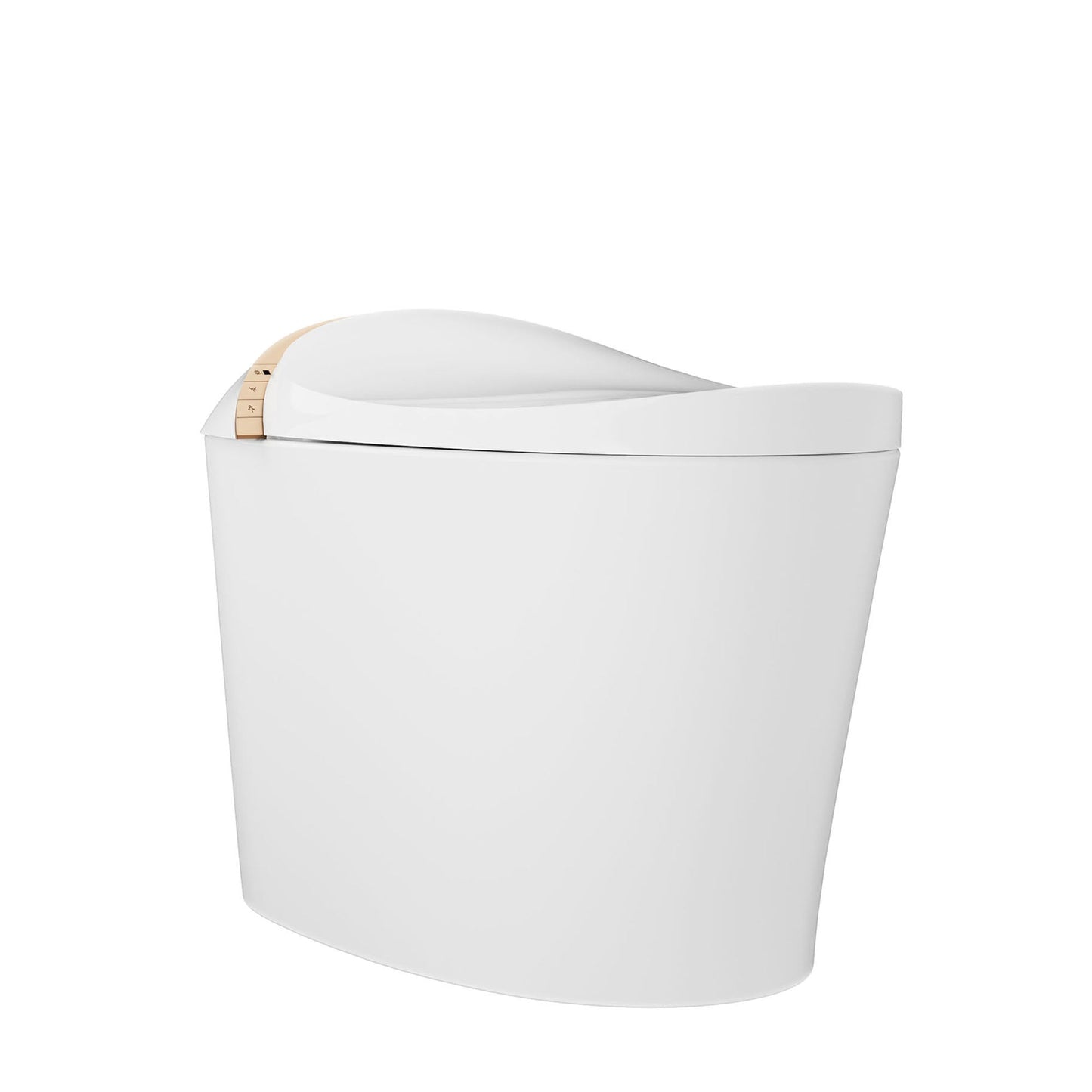 DeerValley Smart Toilet with Off-Seat Flush/Foot Sensor Flush, Automatic Tankless Toilet with Heated Seat, Warm Water Cleaning, Warm Air dryer,DV-1S0160/V1/V3