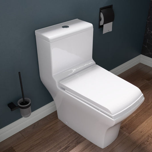 EAGO TB356 White Dual Flush High Efficiency Low Flush Eco-Friendly Toilet