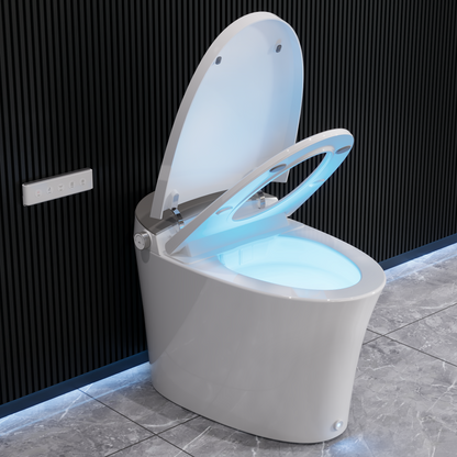 DeerValley Tankless Smart Toilet,Off-seat Auto Flush,Foot Kick Flush,Night Light,Modern Elongated Toilet with Warm Water,DV-1S0150/DV-1S0150-V3