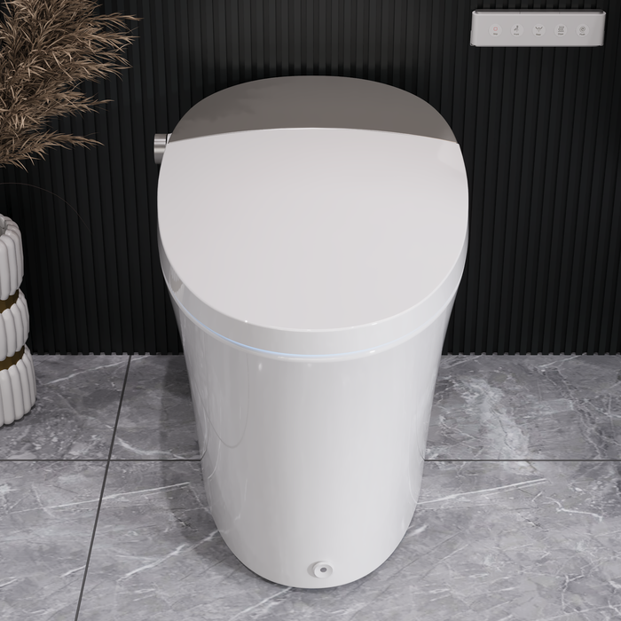 DeerValley Tankless Smart Toilet,Off-seat Auto Flush,Foot Kick Flush,Night Light,Modern Elongated Toilet with Warm Water,DV-1S0150/DV-1S0150-V3