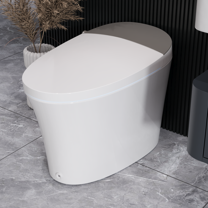 DeerValley Tankless Smart Toilet,Off-seat Auto Flush,Foot Kick Flush,Night Light,Modern Elongated Toilet with Warm Water,DV-1S0150/DV-1S0150-V3