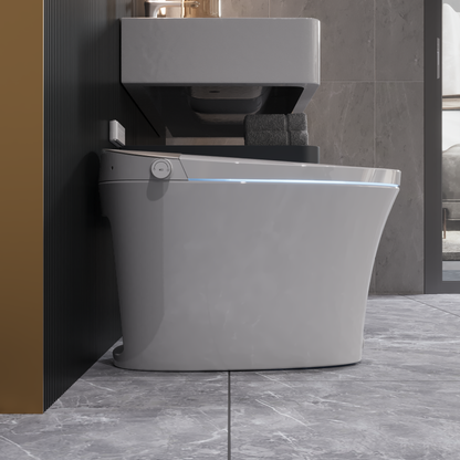 DeerValley Tankless Smart Toilet,Off-seat Auto Flush,Foot Kick Flush,Night Light,Modern Elongated Toilet with Warm Water,DV-1S0150/DV-1S0150-V3