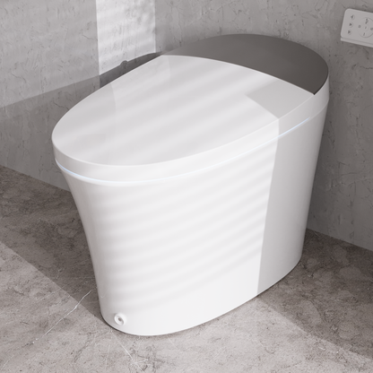DeerValley Tankless Smart Toilet,Off-seat Auto Flush,Foot Kick Flush,Night Light,Modern Elongated Toilet with Warm Water,DV-1S0150/DV-1S0150-V3