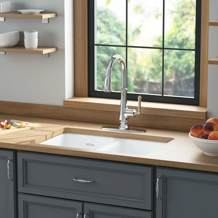 Delancey 30 x 19-Inch Cast Iron Undermount Double-Bowl Kitchen Sink