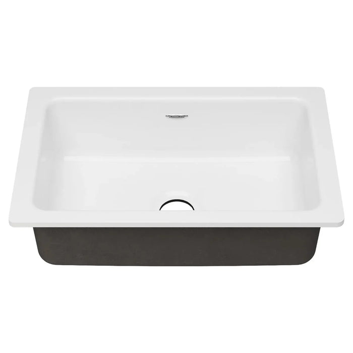 Delancey 30 x 19-Inch Cast Iron Undermount Single-Bowl Kitchen Sink Model: