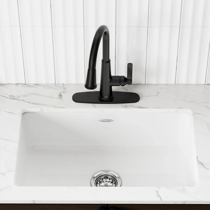 Delancey 30 x 19-Inch Cast Iron Undermount Single-Bowl Kitchen Sink Model: