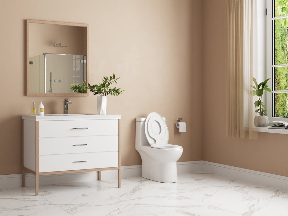 ALLY One-Piece Elongated Toilet, 1.1/1.6GPF Dual-Flush  with Multiple Colors