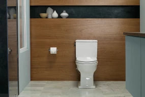 Connelly® Two-Piece Toilet 1.28 GPF & 0.9 GPF - WASHLET®+ Connection