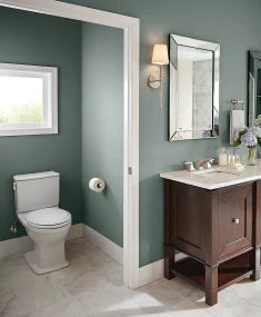 Connelly® Two-Piece Toilet 1.28 GPF & 0.9 GPF - WASHLET®+ Connection