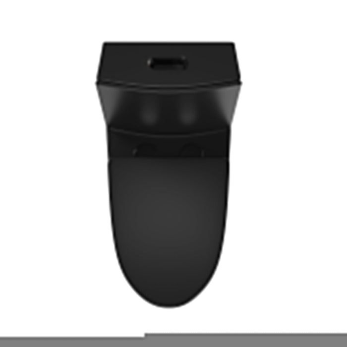 ACE One-Piece Elongated Toilet, 1.1/1.6 GPF Dual-Flush