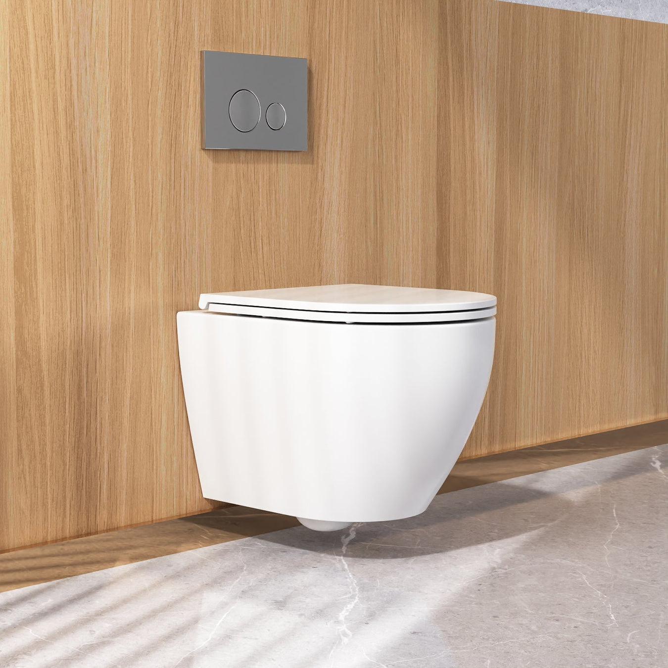 Wall Mounted Toilets