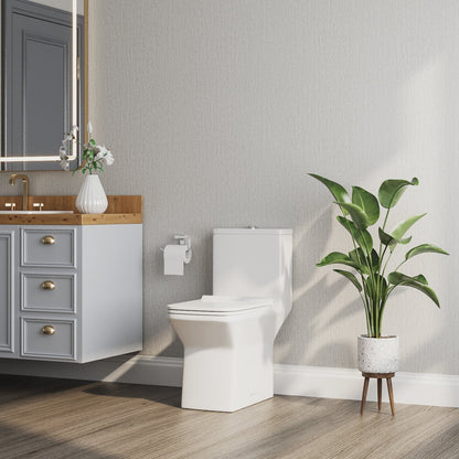 DeerValley DV-1F0072 – One-Piece Elongated Toilet
