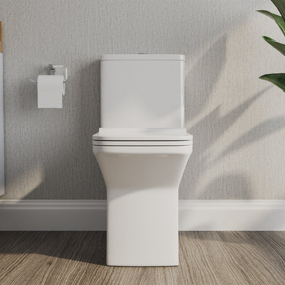 DeerValley DV-1F0072 – One-Piece Elongated Toilet