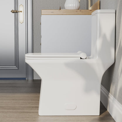 DeerValley DV-1F0072 – One-Piece Elongated Toilet