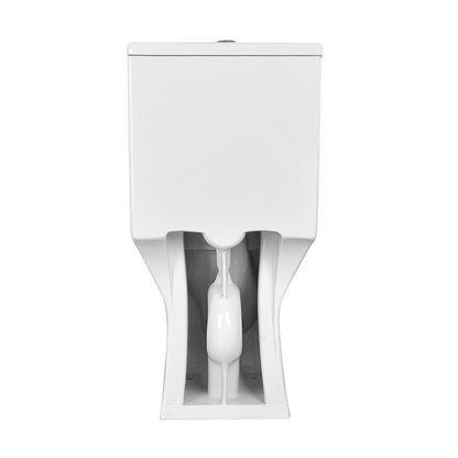 DeerValley DV-1F0072 – One-Piece Elongated Toilet
