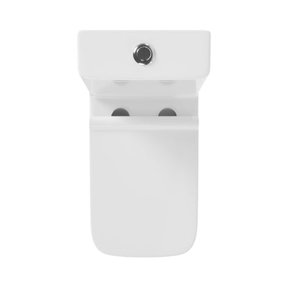DeerValley DV-1F0072 – One-Piece Elongated Toilet