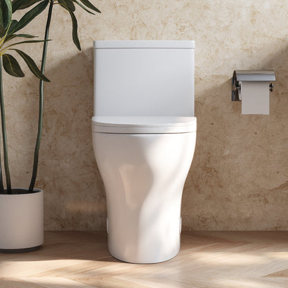 DeerValley DV-1F0073 – One-Piece Elongated Toilet