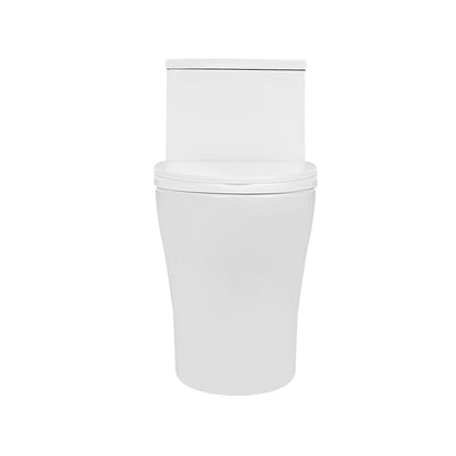 DeerValley DV-1F0073 – One-Piece Elongated Toilet