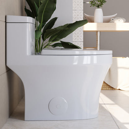 DeerValley DV-1F0075 – One-Piece Dual-Flush Elongated Toilet