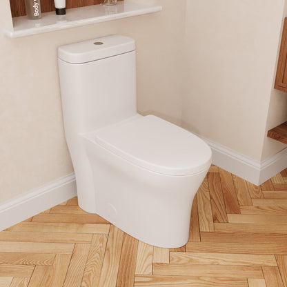 CONCORD One Piece Toilet, Dual Flush 1.1/1.6 GPF and MAP 600g, Standard White Toilet Bowl