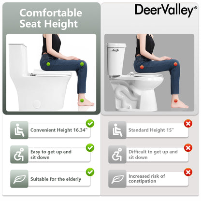 DeerValley DV-1F0248 – One-Piece Dual-Flush Elongated Toilet