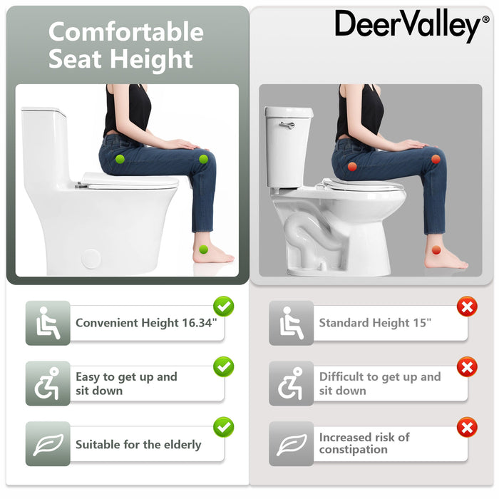 One Piece Toilet for Bathroom, Dual Flush 1.1/1.6 GPF Skirted Toilets, Soft Close seat
