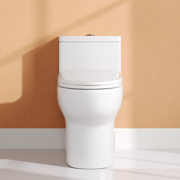 DeerValley Elongated Bathroom Toielt, Dual Flush 1.1/1.6 GPF White Modern Toilet with ADA Seat Height, 12" Rough-In,DV-1F026Pro