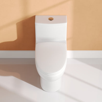 DeerValley DV-1F026Pro – One-Piece Dual-Flush Elongated Toilet