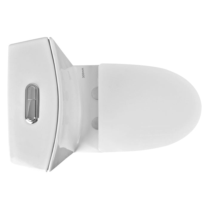 ACE One-Piece Elongated Toilet, 1.1/1.6 GPF Dual-Flush