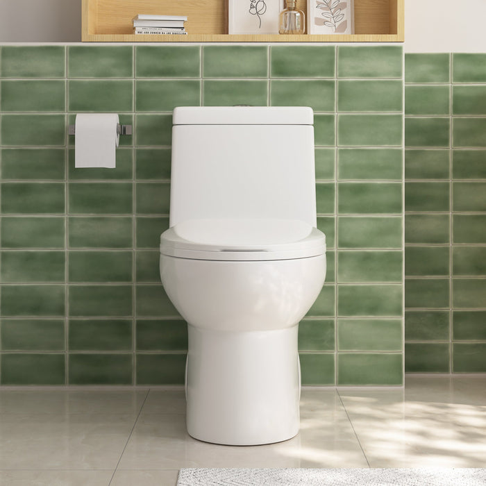 ALLY One-Piece Elongated Toilet, 1.1/1.6GPF Dual-Flush  with Multiple Colors
