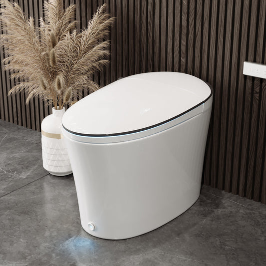 DeerValley  Smart Bidet Toilet Quiet-Closed Heated Seat Sensor Auto, Foot Kick & Blackout Flush, Warm Wash, Night Light，DV-1S0019-V3