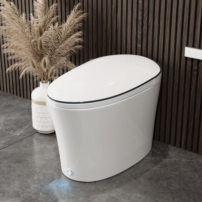 DeerValley  Smart Bidet Toilet Quiet-Closed Heated Seat Sensor Auto, Foot Kick & Blackout Flush, Warm Wash, Night Light，DV-1S0019-V3