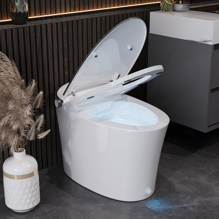 DeerValley  Smart Bidet Toilet Quiet-Closed Heated Seat Sensor Auto, Foot Kick & Blackout Flush, Warm Wash, Night Light，DV-1S0019-V3