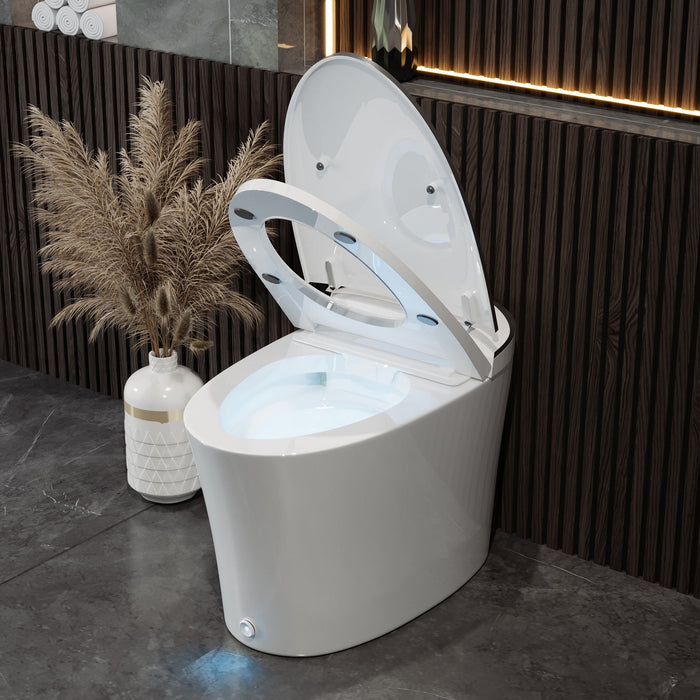 DeerValley  Smart Bidet Toilet Quiet-Closed Heated Seat Sensor Auto, Foot Kick & Blackout Flush, Warm Wash, Night Light，DV-1S0019-V3