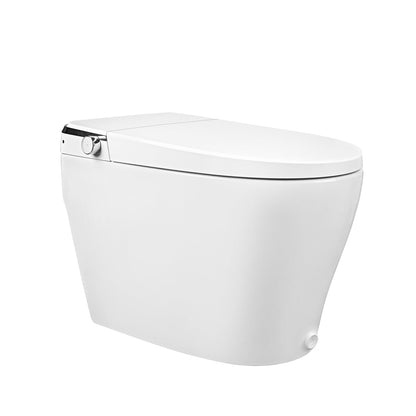 DeerValley  Smart Bidet Toilet, Foot Kick Flush, Warm Wash (Seat Included),Female Wash,DV-1S0029-V3