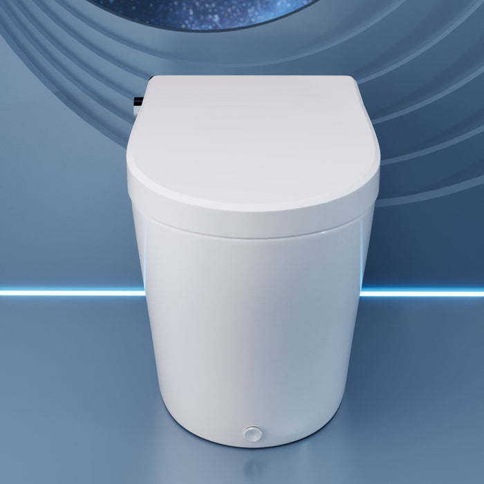 DeerValley  Smart Bidet Toilet, Foot Kick Flush, Warm Wash (Seat Included),Female Wash,DV-1S0029-V3