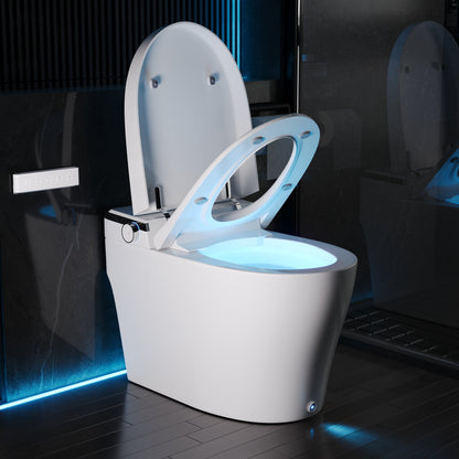 DeerValley  Smart Bidet Toilet, Foot Kick Flush, Warm Wash (Seat Included),Female Wash,DV-1S0029-V3