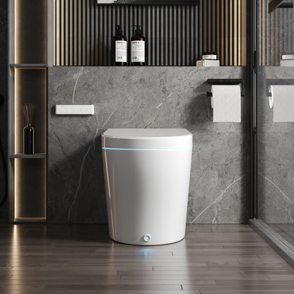 DeerValley  Smart Bidet Toilet, Foot Kick Flush, Warm Wash (Seat Included),Female Wash,DV-1S0029-V3