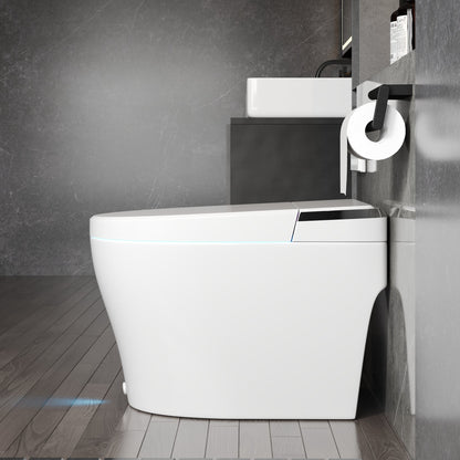 DeerValley  Smart Bidet Toilet, Foot Kick Flush, Warm Wash (Seat Included),Female Wash,DV-1S0029-V3