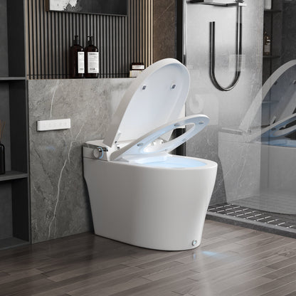 DeerValley  Smart Bidet Toilet, Foot Kick Flush, Warm Wash (Seat Included),Female Wash,DV-1S0029-V3