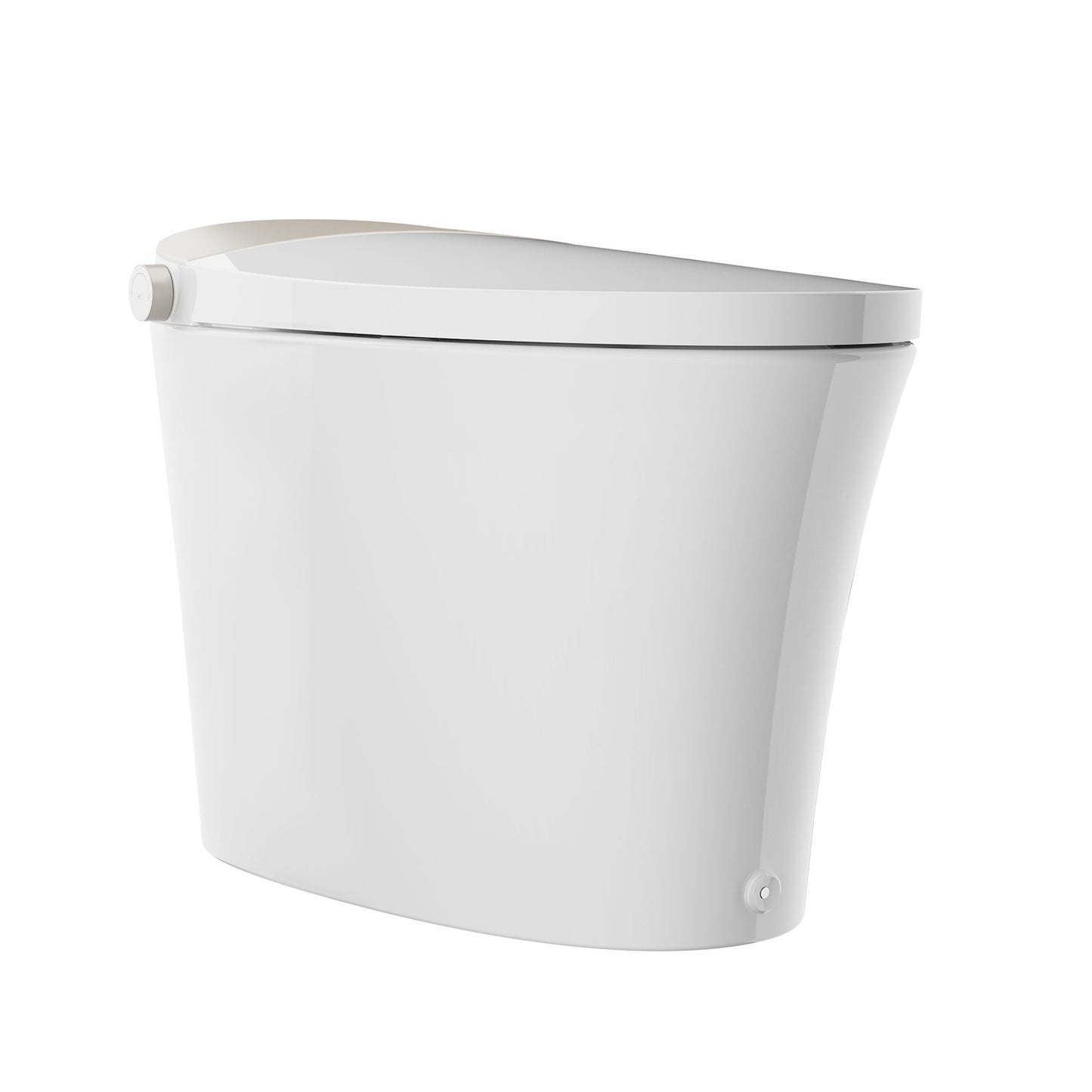 DeerValley Tankless Smart Toilet,Off-seat Auto Flush,Foot Kick Flush,Night Light,Modern Elongated Toilet with Warm Water,DV-1S0150/DV-1S0150-V3