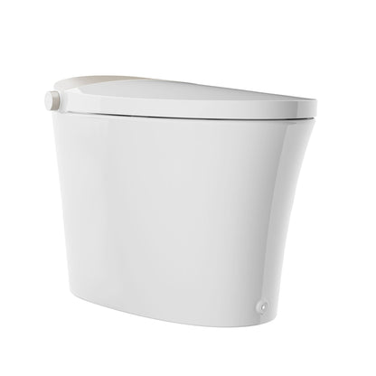 DeerValley Tankless Smart Toilet,Off-seat Auto Flush,Foot Kick Flush,Night Light,Modern Elongated Toilet with Warm Water,DV-1S0150/DV-1S0150-V3