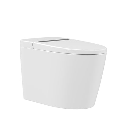 DeerValley  Smart Bidet Toilet,Auto Flush, Heated Seat,Night-light, One-Piece ,DV-1S0159-V3