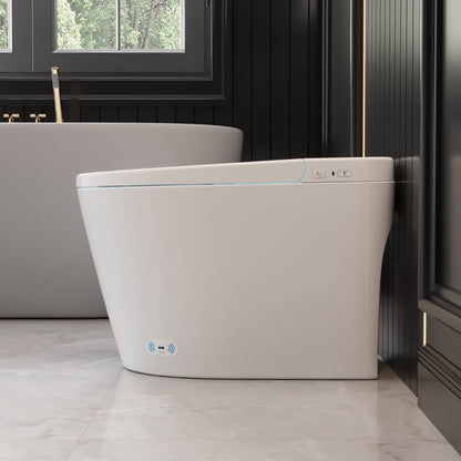 DeerValley  Smart Bidet Toilet,Auto Flush, Heated Seat,Night-light, One-Piece ,DV-1S0159-V3