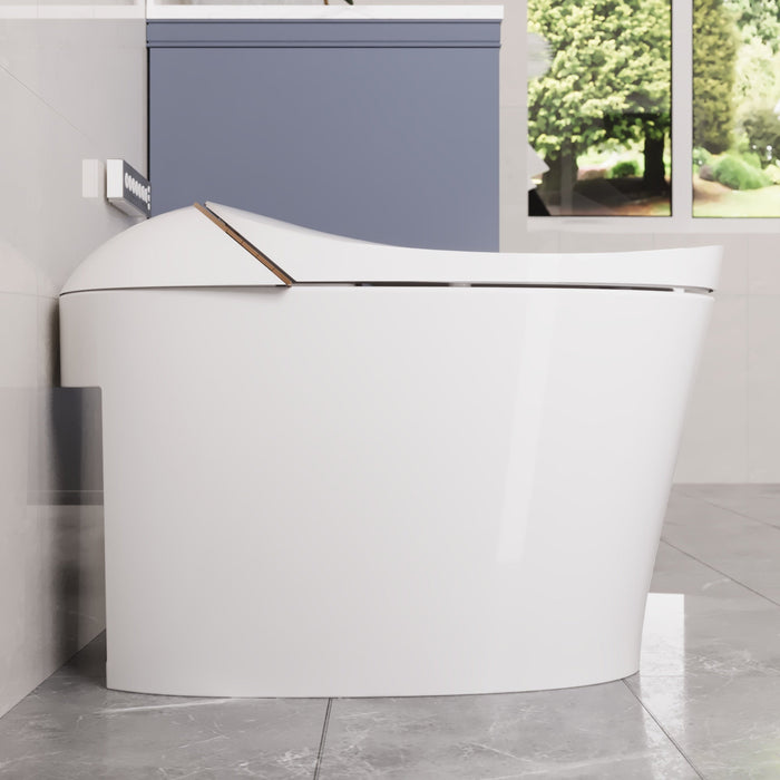 DeerValley Smart Toilet with Off-Seat Flush/Foot Sensor Flush, Automatic Tankless Toilet with Heated Seat, Warm Water Cleaning, Warm Air dryer,DV-1S0160/V1/V3