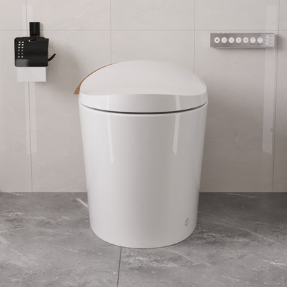 DeerValley Smart Toilet with Off-Seat Flush/Foot Sensor Flush, Automatic Tankless Toilet with Heated Seat, Warm Water Cleaning, Warm Air dryer,DV-1S0160/V1/V3