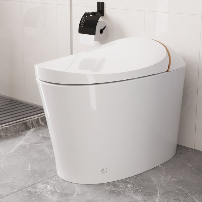 DeerValley Smart Toilet with Off-Seat Flush/Foot Sensor Flush, Automatic Tankless Toilet with Heated Seat, Warm Water Cleaning, Warm Air dryer,DV-1S0160/V1/V3