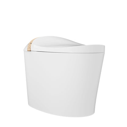 DeerValley Smart Toilet with Off-Seat Flush/Foot Sensor Flush, Automatic Tankless Toilet with Heated Seat, Warm Water Cleaning, Warm Air dryer,DV-1S0160/V1/V3