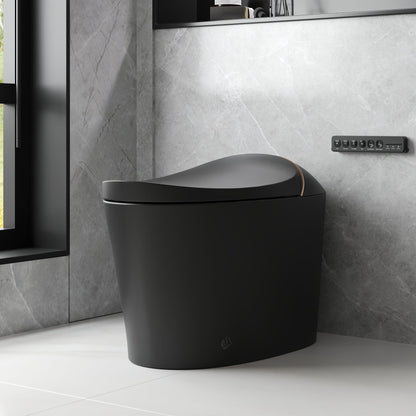 DeerValley Smart Toilet with Off-Seat Flush/Foot Sensor Flush, Automatic Tankless Toilet with Heated Seat, Warm Water Cleaning, Warm Air dryer,DV-1S0160/V1/V3