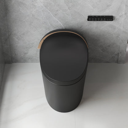 DeerValley Smart Toilet with Off-Seat Flush/Foot Sensor Flush, Automatic Tankless Toilet with Heated Seat, Warm Water Cleaning, Warm Air dryer,DV-1S0160/V1/V3